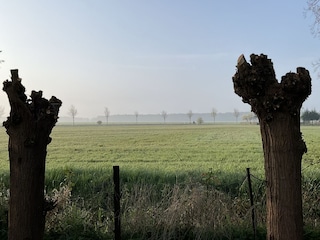 Blick übern Zaun auf die Wiese am Prerower Strom
