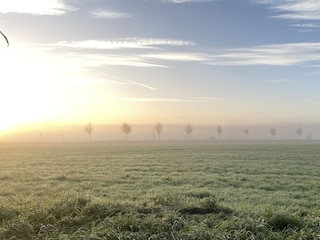 Blick vom Garten auf die Wiese am Prerowstrom
