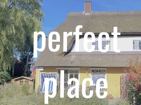 Ferienhaus unter Reet
