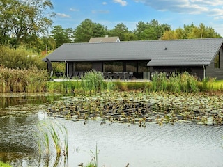 Ferienhaus Ebeltoft  3