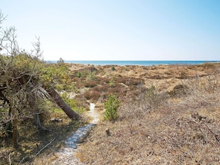 Ferienhaus Sømarken  8