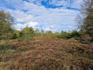 Holiday house Als  30