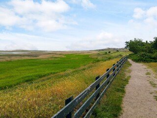 Maison de vacances Sønderho Sogn  31