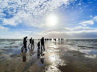 Casa per le vacanze Sønderho Sogn  8