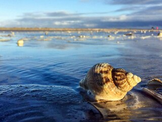 Casa per le vacanze Sønderho Sogn  14