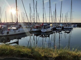 Maison de vacances Læsø  8