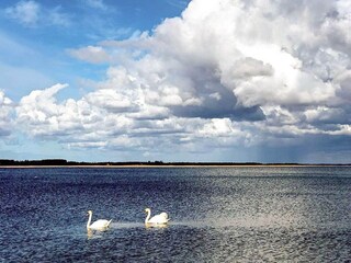 Holiday house Welt  24