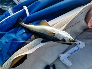 Vakantiehuis Welt  6