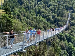 Blackforestline über die Todtnauer Wasserfälle