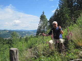 Nordic Walking rund um den Titisee