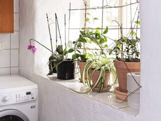Ferienhaus Bua  25