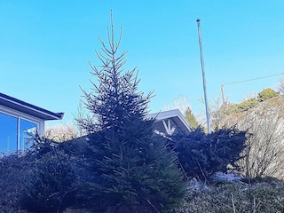 Ferienhaus Lindesnes Außenaufnahme 5
