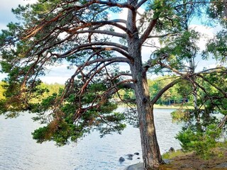 Vakantiehuis Ingarö  20