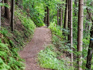 Vakantiehuis Hölö  12