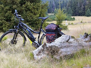 Holiday house Hölö  9