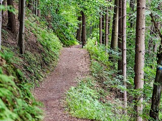 Holiday house Hölö  13