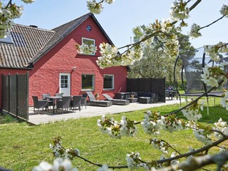 Ferienhaus Sommerodde Außenaufnahme 3