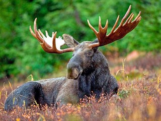 Holiday house Töreboda  15