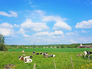 Holiday house Töreboda  10