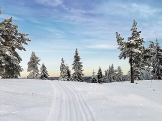 Holiday house Welt  17