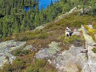 Holiday house Welt  20