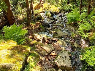 Vakantiehuis Welt  25