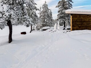 Vakantiehuis Welt  39
