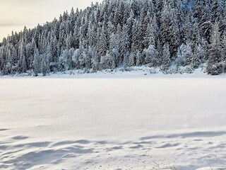 Vakantiehuis Welt  16