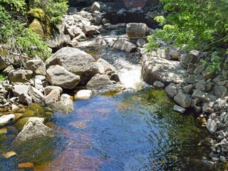 Vakantiehuis Welt  47