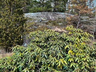 Vakantiehuis Ingarö Buitenaudio-opname 5