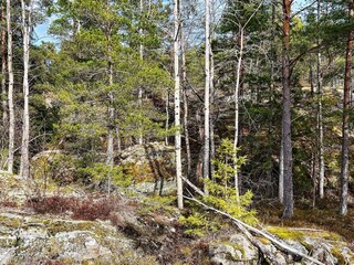 Ferienhaus Ingarö  22