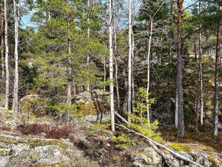 Vakantiehuis Ingarö  21