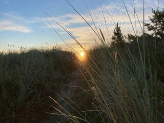 Ferienhaus Vaeggerløse Außenaufnahme 14