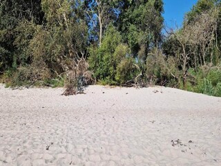 Casa de vacaciones Vaeggerløse Grabación al aire libre 10