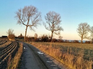 Ferienhaus Vaeggerløse Außenaufnahme 8