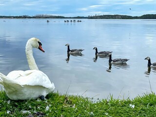 Vakantiehuis Mönsterås  23