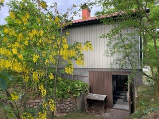 Vakantiehuis Mönsterås Buitenaudio-opname 11