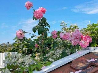 Casa per le vacanze Otterup Registrazione all'aperto 5