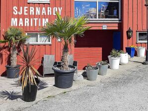 Apartment 7 Personen Ferienhaus in Sjernarøy - Nedstrand - image1