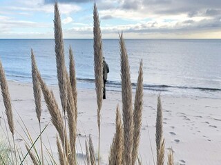 Vakantiehuis Åhus  19