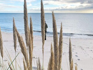 Vakantiehuis Åhus  16