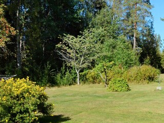 Vakantiehuis Welt  5