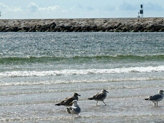Vakantiehuis Höllviken  21