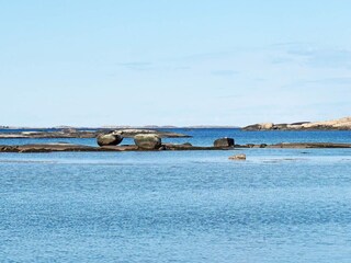 Vakantiehuis Lur  12