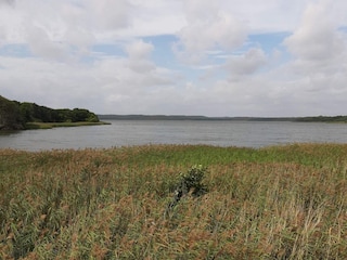 Ferienhaus Ebeltoft  40