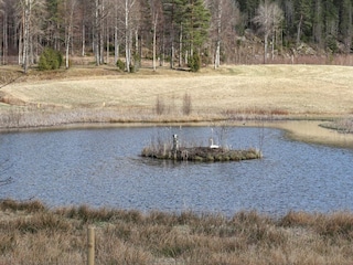 Ferienhaus Mellerud  22