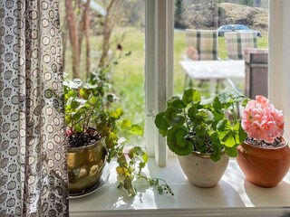 Vakantiehuis Arboga  9