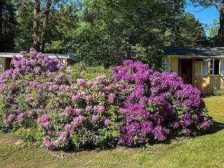 Ferienhaus Rørvig  12