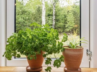 Maison de vacances Læsø  22