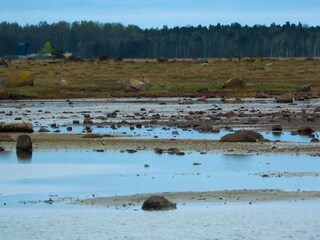 Vakantiehuis Læsø  18